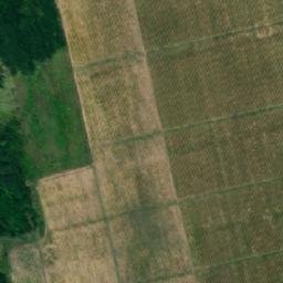 Satellite imagery of Conacul Negruzzi, RO