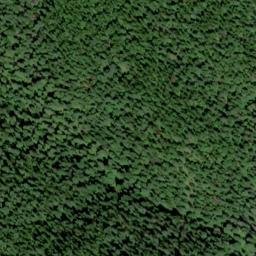 Satellite imagery of Laundry Ridge, US
