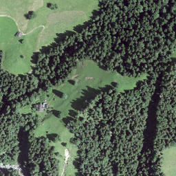 Satellite imagery of Losenegg, CH
