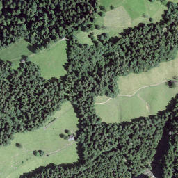 Satellite imagery of Losenegg, CH