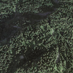 Satellite imagery of Schild, CH