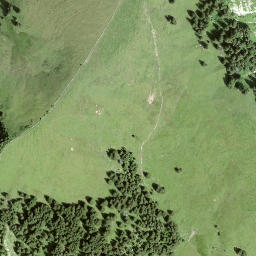 Satellite imagery of Horn, CH