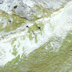 Satellite imagery of Gwärtler, CH