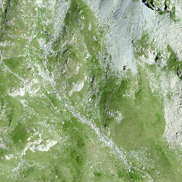 Satellite imagery of Piz Dadens, CH