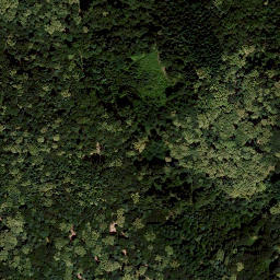 Satellite imagery of Königsberg, AT