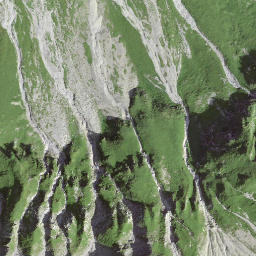 Satellite imagery of Brienzergrat, CH