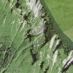 Satellite imagery of Scheidegg, CH