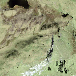 Satellite imagery of Vogelbüel, CH