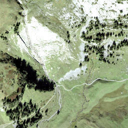 Satellite imagery of Vogelbüel, CH
