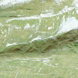 Satellite imagery of Gwärtler, CH