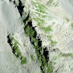 Satellite imagery of Fuortga, CH