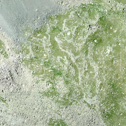 Satellite imagery of Fuortga, CH