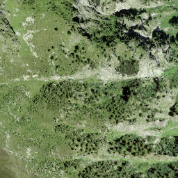 Satellite imagery of Sassauta, CH