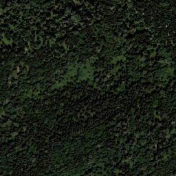 Satellite imagery of Tannriegel, AT