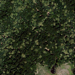 Satellite imagery of Königsberg, AT