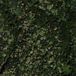 Satellite imagery of Königsberg, AT