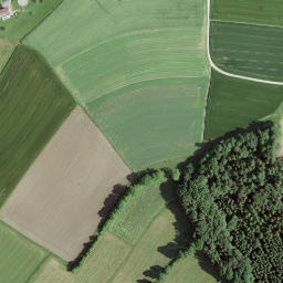 Satellite imagery of Fofenhubel, CH