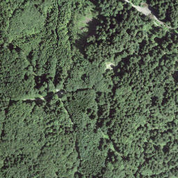 Satellite imagery of Gspeeshubel, CH