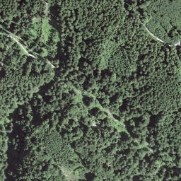 Satellite imagery of Gspeeshubel, CH