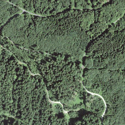 Satellite imagery of Gspeeshubel, CH