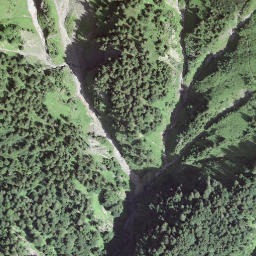 Satellite imagery of Scheidegg, CH