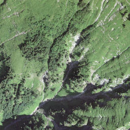 Satellite imagery of Scheidegg, CH