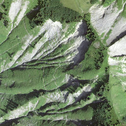 Satellite imagery of Scheidegg, CH