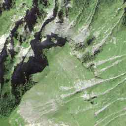 Satellite imagery of Wilerhorn, CH