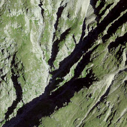 Satellite imagery of Piz Cuolmet, CH