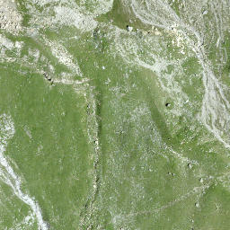 Satellite imagery of Fuortga, CH