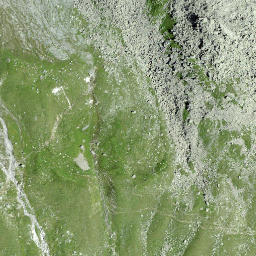 Satellite imagery of Fuortga, CH