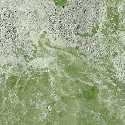 Satellite imagery of Fuortga, CH