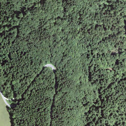 Satellite imagery of Gspeeshubel, CH