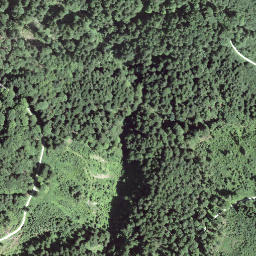 Satellite imagery of Gspeeshubel, CH