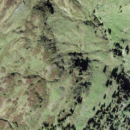 Satellite imagery of Höfli, CH