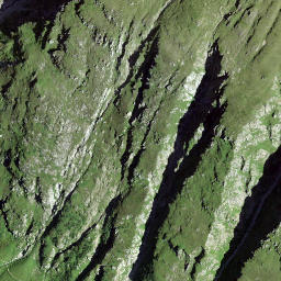 Satellite imagery of Piz Cuolmet, CH