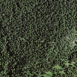 Satellite imagery of Motta da Sparsels, CH