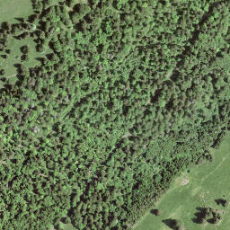 Satellite imagery of Le Suchet, CH