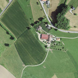 Satellite imagery of Fofenhubel, CH