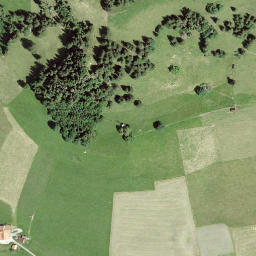 Satellite imagery of Guggershorn, CH