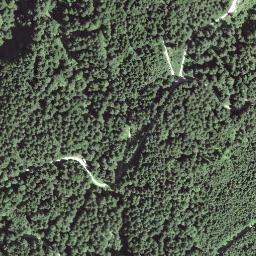 Satellite imagery of Gspeeshubel, CH