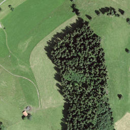 Satellite imagery of Egg, CH