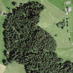 Satellite imagery of Egg, CH