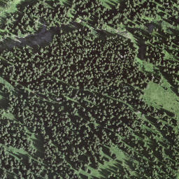 Satellite imagery of Höchst, CH