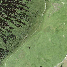 Satellite imagery of Höchst, CH