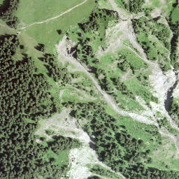 Satellite imagery of Alpenrosenhubel, CH