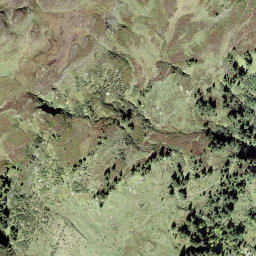 Satellite imagery of Höfli, CH