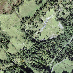 Satellite imagery of Höfli, CH