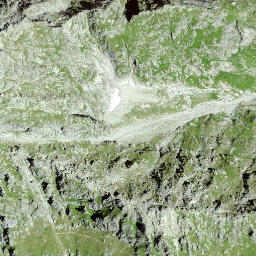 Satellite imagery of Piz Ner, CH