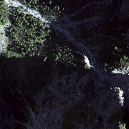 Satellite imagery of Piz da Gliasen, CH